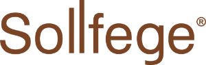 Sollfege Smart Electronics IPO (BSE SME) logo